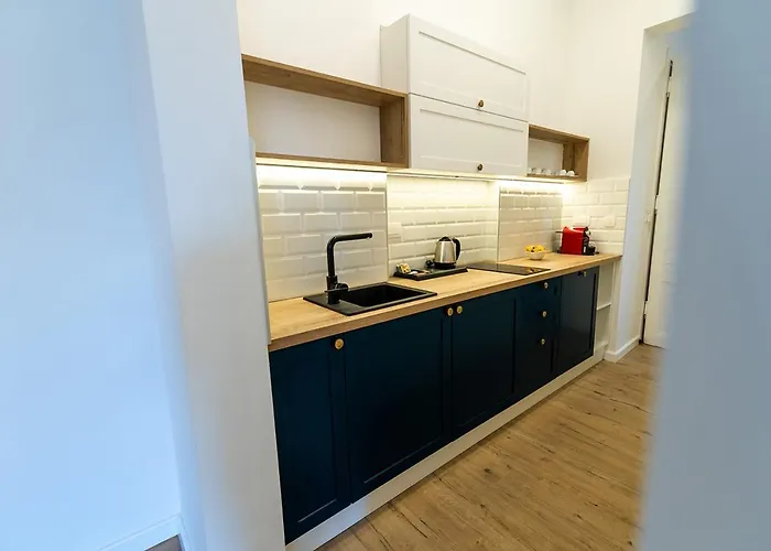 Luxury / Josip Vancas 公寓 塞拉耶佛